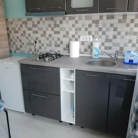 Apartament Rodica