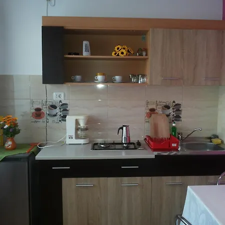 Appartement Rodica *